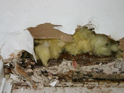 About Water Damage Restoration Jarratt - water damage restoration experts in Jarratt